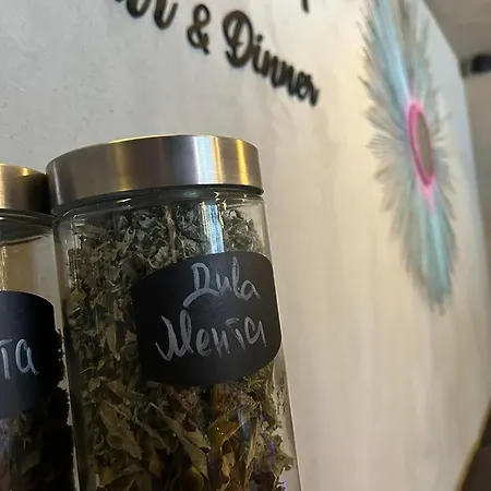 Camping Quattro Malyovitsa- мальовица Govedartsi