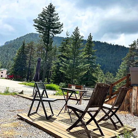 Kemp Quattro Malyovitsa- мальовица *