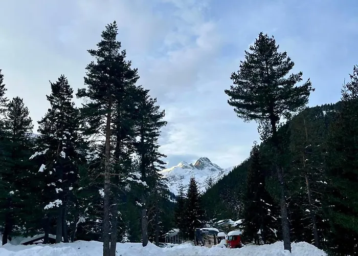 Quattro Malyovitsa- мальовица * Govedartsi