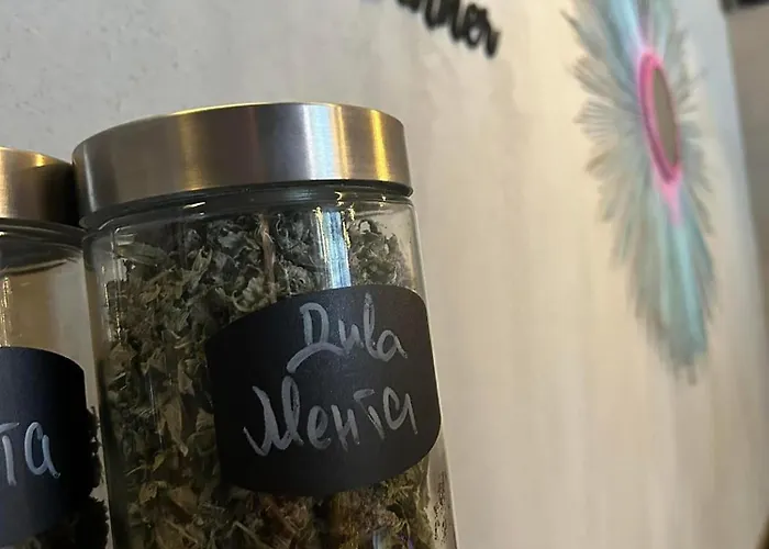 Campeggio Quattro Malyovitsa- мальовица Govedartsi