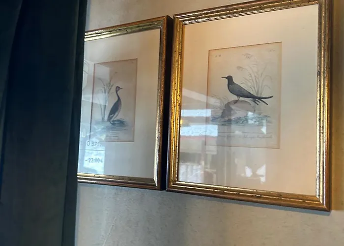 Campeggio Quattro Malyovitsa- мальовица Govedartsi