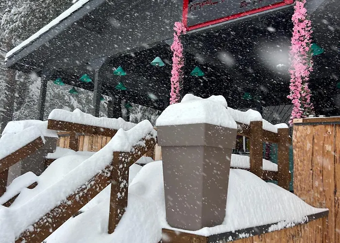 Quattro Malyovitsa- мальовица Govedartsi